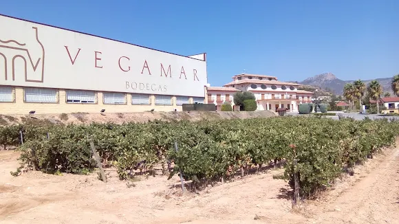 Vegamar Bodegas - Calles