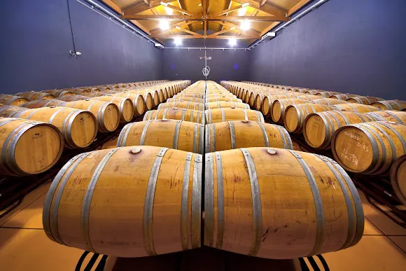 Bodegas Vetus - Toro