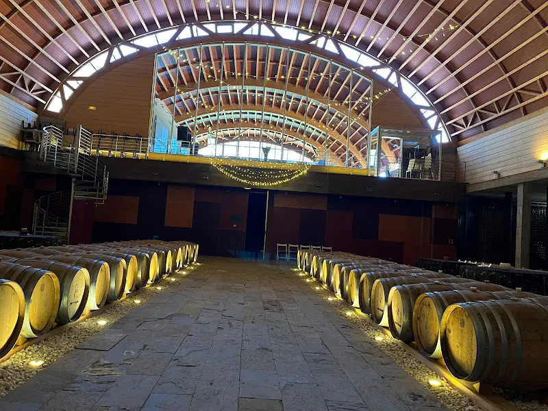 Bodega Pago Del Vicario - Porzuna
