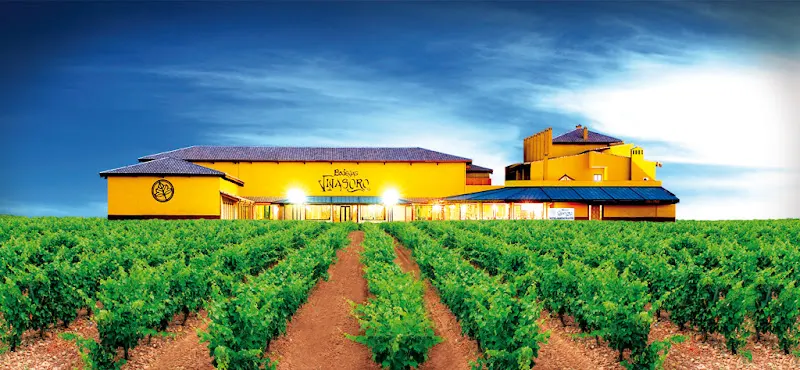 Hotel Château Viñasoro - Alcázar de San Juan
