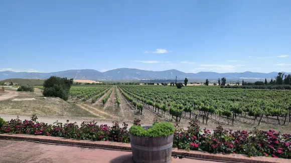 Dehesa del Carrizal