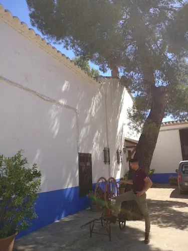 Bodegas Calar / Finca Montanchuelos - Moral de Calatrava