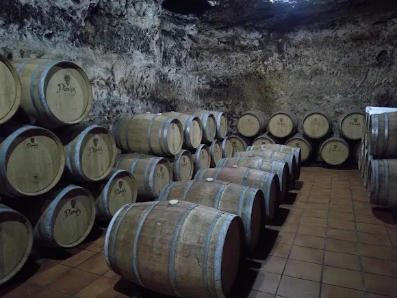 La Bodega de las Estrellas - Valdepeñas