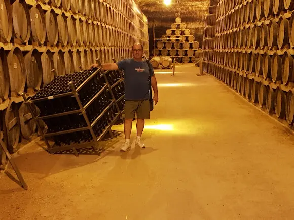 BODEGAS Y VIÑEDOS VERUM S.L.