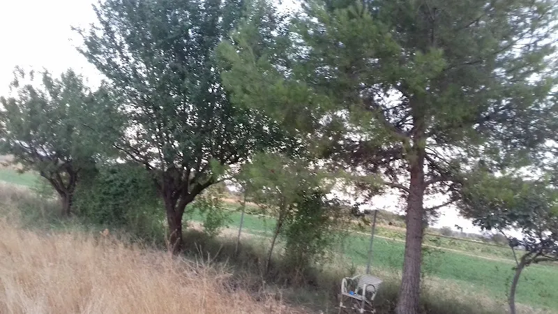 Bodegas Casa Quemada S.l. - Argamasilla de Alba
