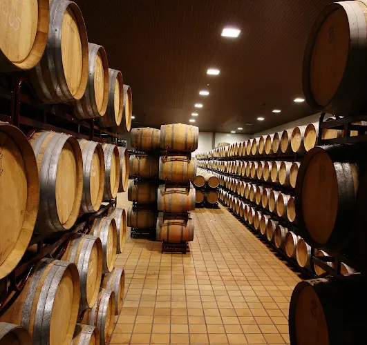 Bodegas Navarro López - Valdepeñas