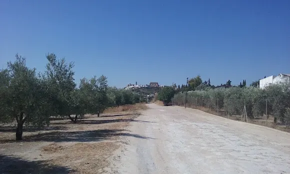 Bodegas vinicolas del sur - Montilla