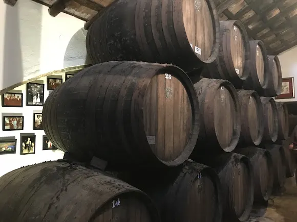 Bodegas San Acacio