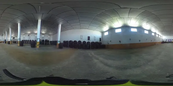 Bodegas