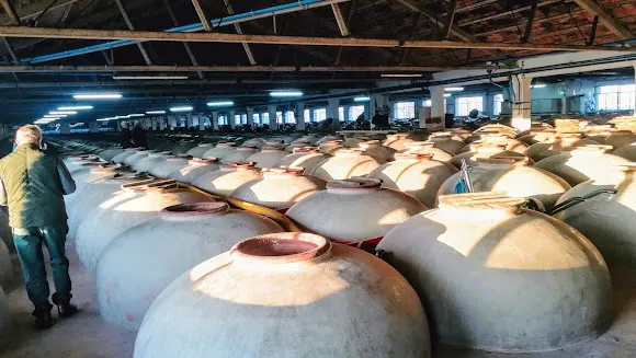 Vinos de Anora - Montilla