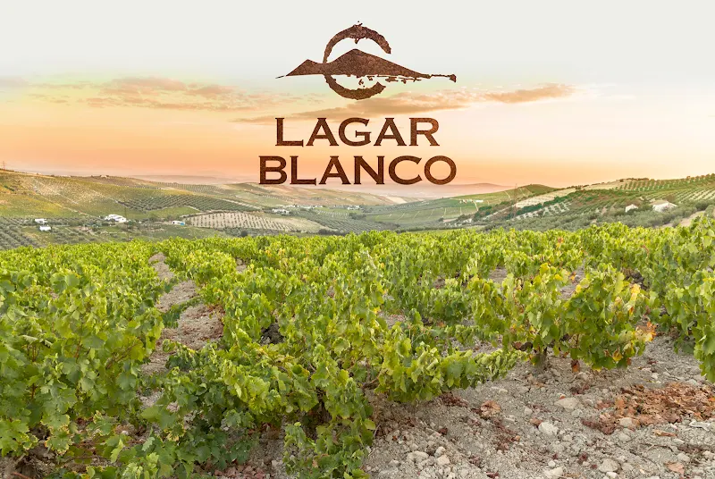 Bodegas Lagar Blanco - Montilla