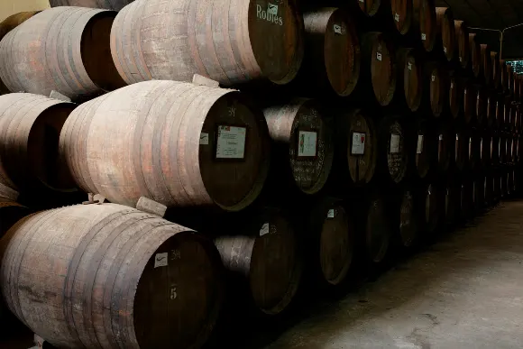 Bodegas Robles | Vinos Ecológicos Montilla Moriles - Montilla