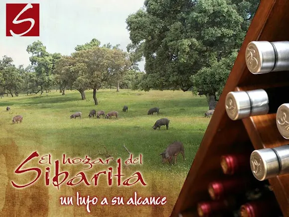 El Hogar del Sibarita - Palma del Rio