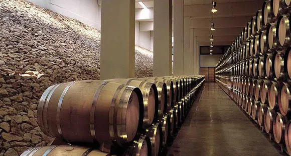 Bodega Finca Antigua - Los Hinojosos