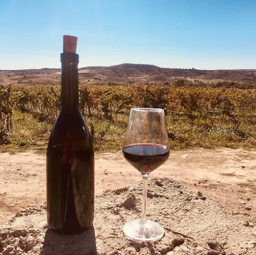 Bodegas Enrique Moreno - Albalate de las Nogueras