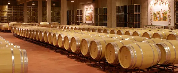 Bodegas Tagonius - Tielmes