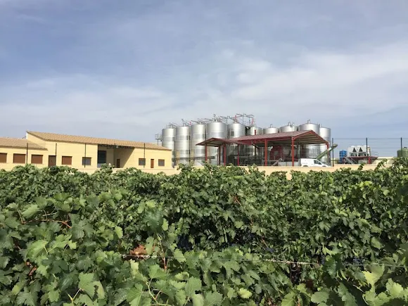 Bodegas MPEREZ - Santa Maria de los Llanos