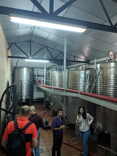 Bodega Ecológica Andrés Morate - Belmonte de Tajo