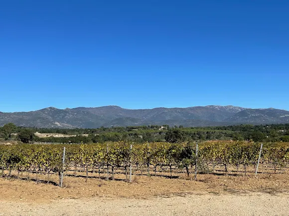 Arché Pagès - Capmany