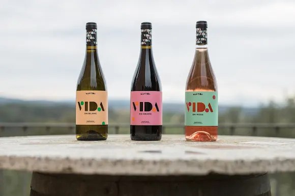 Mas Vida Celler - Cistella