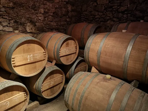 Celler Can Sais ; vins naturals