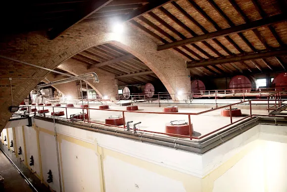 Bodega Celler D'Espolla - Espolla