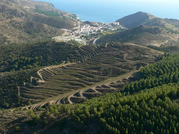 Celler Hugas de Batlle - Colera