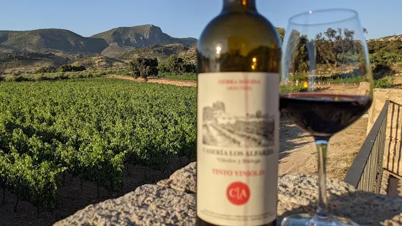 Caseria Los Alfarjes Viñedos Y Bodega - Cambil