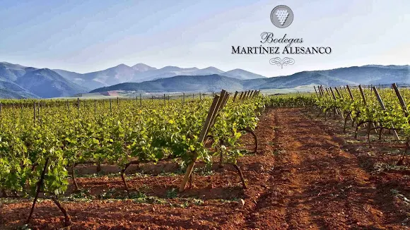 Bodegas Pedro Martinez Alesanco