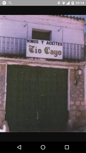 Bodegas Tio Cayo - Mondejar