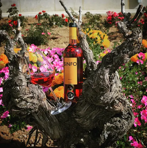 Sinforiano Bodegas