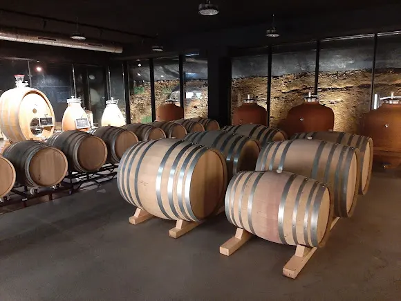 Bodegas Itsasmendi