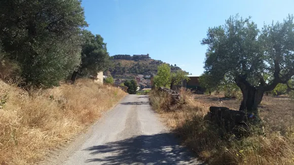 Bodega Casa Mateu - Salas Altas