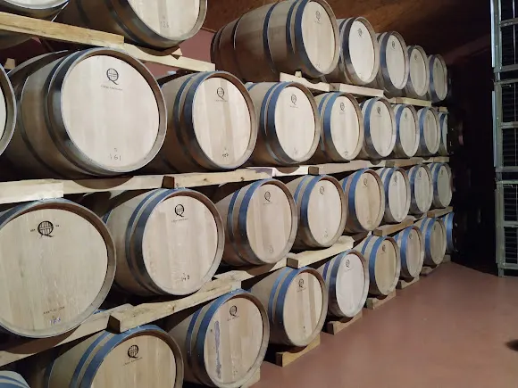 BODEGAS SERS - Castejon del Puente