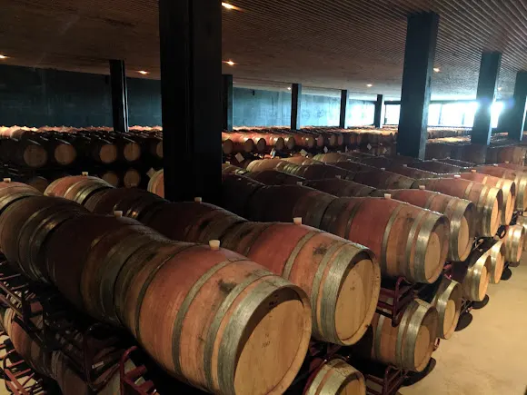 Bodega LAUS - Barbastro