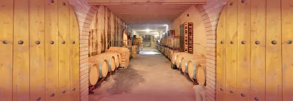 Bodegas Larre - Villanueva de Gallego