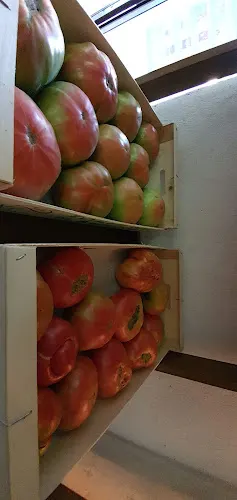 Esencias del Somontano - Barbastro