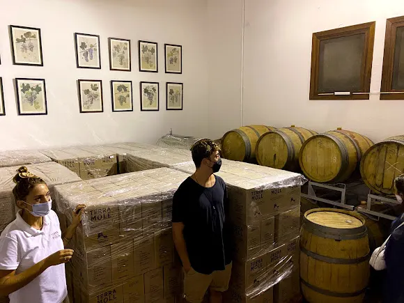 Bodega Terramoll - Formentera