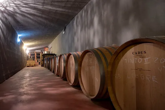 Bodega Conde de SUYROT - Arta