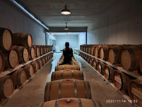 Bodega SON PRIM