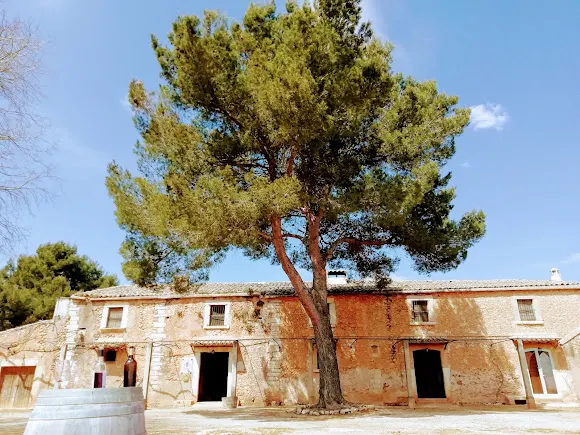 Antonio Nadal Ros Bodegas & Viñedos