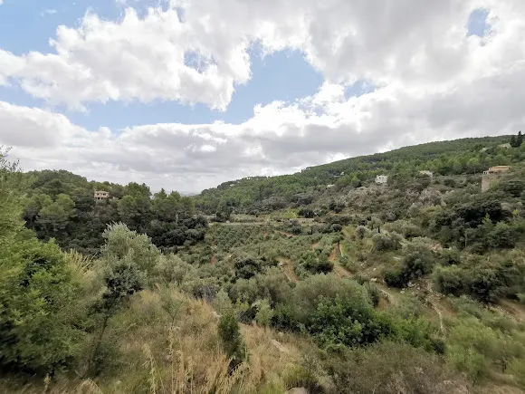 Bodega Es Verger - Bodega en Esporles