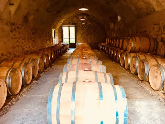 Bodegas Son Puig, SL