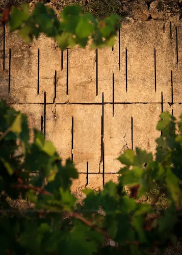 DALT TURÓ - wine tasting room - wine cellar - Campos