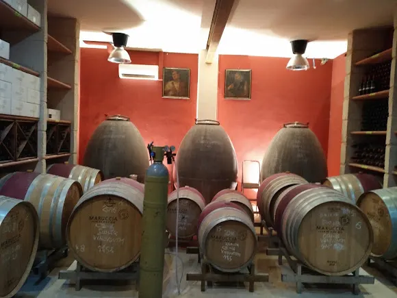 Bodega Maruccia Club de vino 953 - Llucmajor