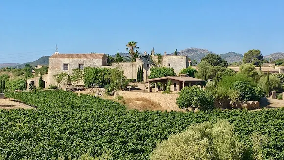 Mandia Vell - Manacor