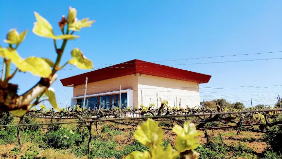 Binitord Bodega - Ciutadella de Menorca