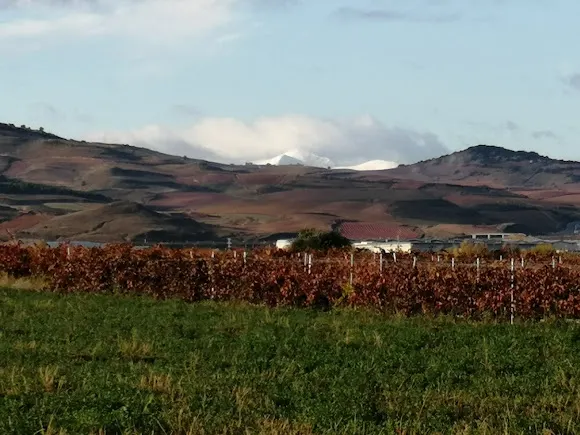 Bodegas AGE
