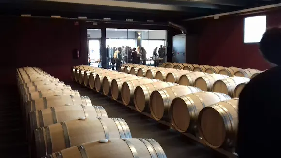 Fincas de Azabache - Aldeanueva de Ebro