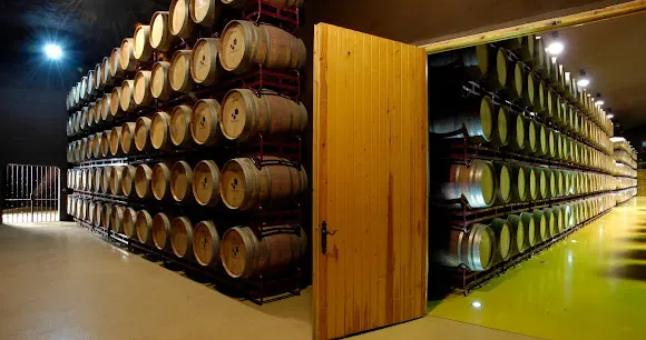 ZINIO Bodegas